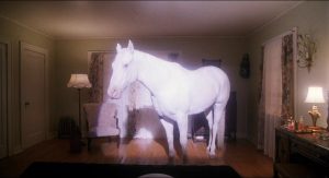 اسب سفید نمادی از خرافات